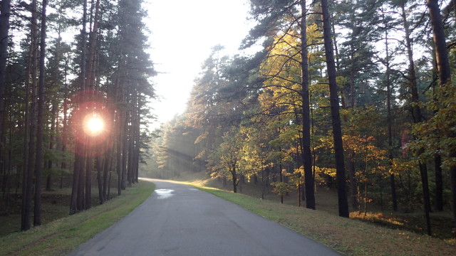 Mežaparks